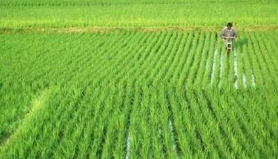 Pradhan Mantri Krishi Sinchayee Yojana: Cabinet approves implementation of PMKSY for 2021-26 
