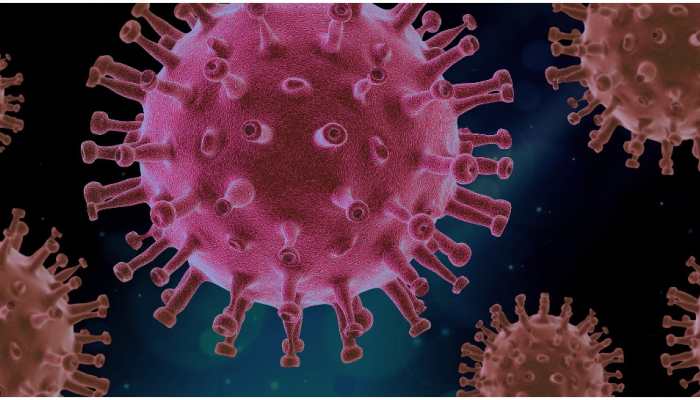 Delhi Disaster Management Authority extends Covid restrictions till Dec 31