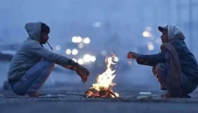 Weather update: Cold wave to set in North India, says IMD; Delhi might see 5°C temperature on weekends