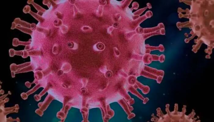 Trial of new oral drug against Covid-19 begins in South Africa