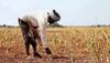 PM Kisan 10th instalment: Select farmers could get Rs 4000 next week, check how