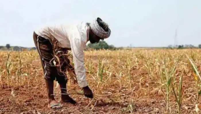 PM Kisan 10th instalment: Select farmers could get Rs 4000 next week, check how