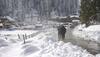 cold waves in jammu