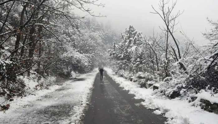 Chillai Kalan: Fresh snowfall in upper reaches of Kashmir, Ladakh; light rains expected in Jammu tonight