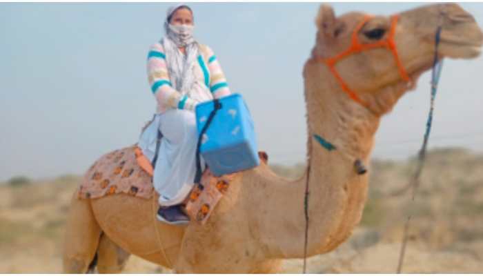 Female health care worker rides camel to Rajasthan village for vaccination drive, see pics