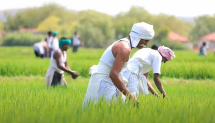 PM Kisan 10th installment coming on January 1: Here's what to do if name missing in beneficiary list
