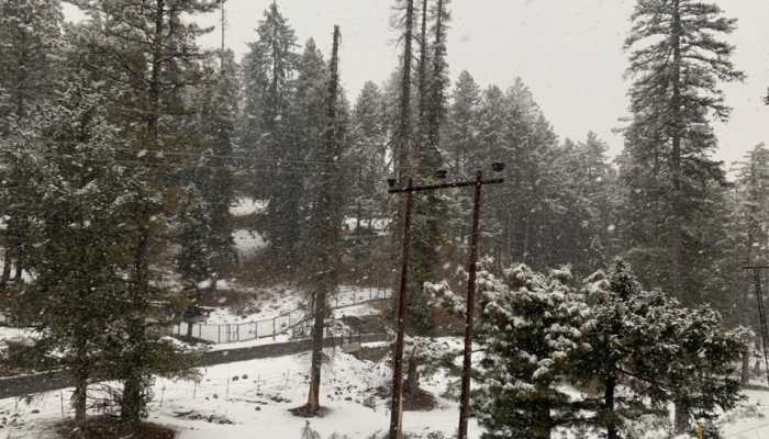 White Christmas: Kashmir witness highest tourist footfall in ten years amid festivities