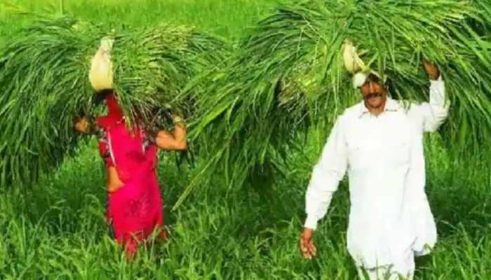 PM Kisan 10th instalment: THESE farmers could get Rs 4000 on Jan 1, check if you’re eligible