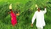 PM Kisan 10th instalment: THESE farmers could get Rs 4000 on Jan 1, check if you’re eligible