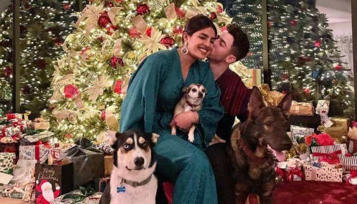 Priyanka Chopra sits on Nick Jonas lap, poses with their three dogs for a mushy Christmas family photo