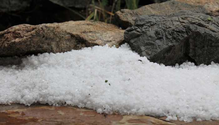 Impact of climate change? Maharashtra&#039;s Shirdi witnesses hailstorm, crops damaged 