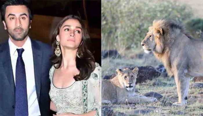 Alia Bhatt shares unseen photo of boyfriend Ranbir Kapoor, ends New Year on wild note, check out