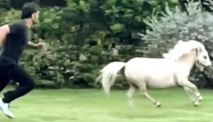 MS Dhoni clicked with his pony and the picture is going viral - SEE PIC