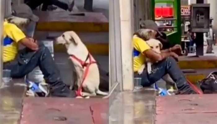 Dog gives homeless man much-needed hug in viral video, leaves netizens in tears- Watch