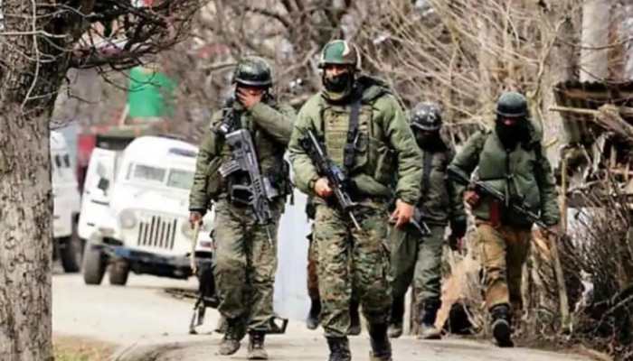 Top Lashkar-e-Taiba commander Salim Parray among 2 terrorists killed in J&amp;K