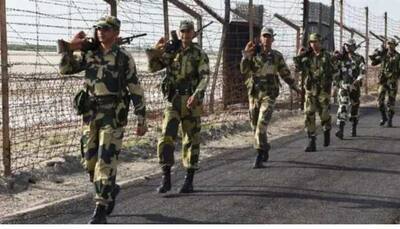 BSF killed 6 Pak intruders, captured a drone, heroine in 2021