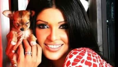 I was tortured for my surgery for 3 years: Koena Mitra talks about groupism in Bollywood