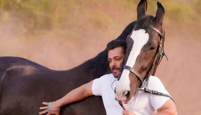 Days after bitten by snake at Panvel famrhouse, Salman Khan poses with his horse, leaves fans excited