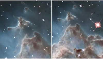 NASA stuns internet with Hubble visualisation of Monkey Head Nebula- Watch