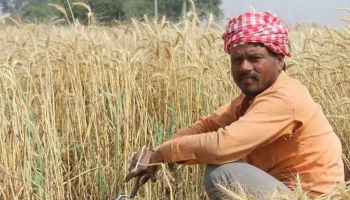 PM Kisan Yojana: 10th instalment still not credited to bank account? Check what to do next 