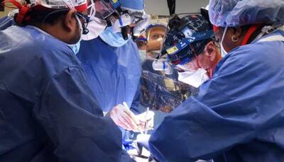 Medical breakthrough! US surgeons successfully transplant pig heart into human patient