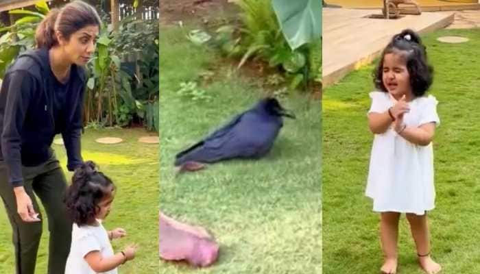 WATCH: Shilpa Shetty&#039;s daughter praying for an injured &#039;birdie&#039; is the cutest video on internet!