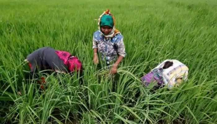 PM KISAN latest update: Rules on beneficiary, application status checking changed, here’s what is new