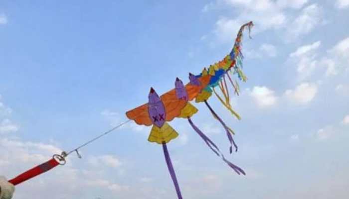 Over 60 injured by kite strings during Makar Sankranti festivities in Gujarat