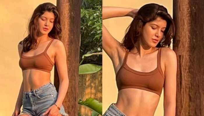 Shanaya Kapoor's STUNNING sunkissed photos grab Suhana Khan, Ananya Panday's attention