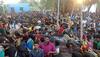 Jallikattu competition