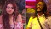 BB 15: Abhijit Bichukale targets Devoleena Bhattarcharjee with stone after she bites him during task