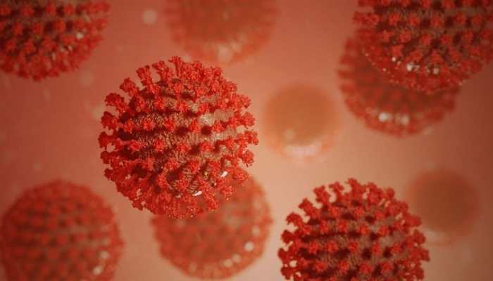 Can you be infected with Omicron twice? Check experts' opinion here!