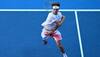 Radu Albot