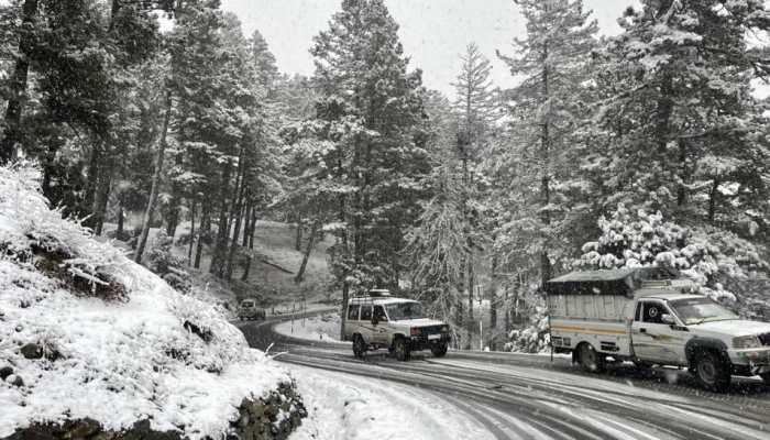Fresh blanket of snow covers Kashmir, Gulmarg records mercury at minus 6.5°C