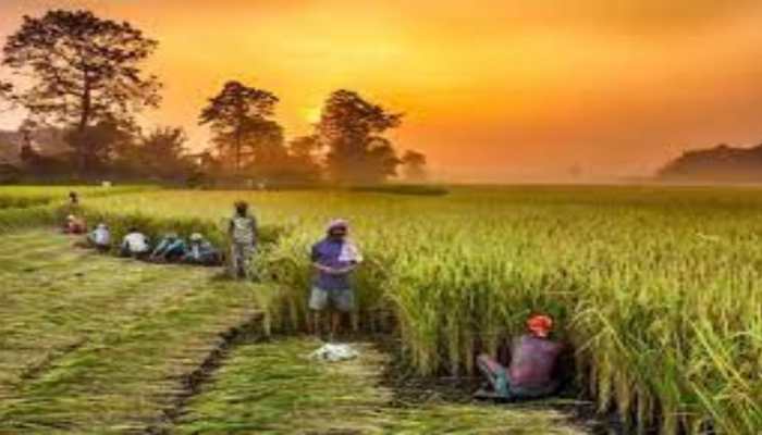 Grant up to Rs 10 lakh to ICAR institutes, KVKs, state agri universities for purchase of drones, says Agri ministry