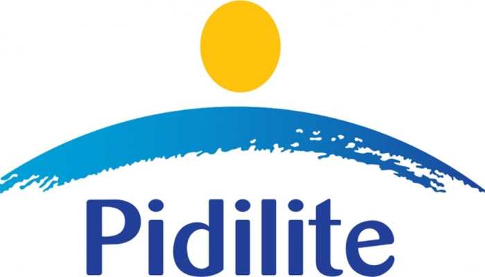 Pidilite Industries' net profit falls 19.5% to Rs 359.2 crore in Dec quarter