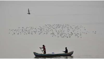 Sri Lanka to release 56 Indian fishermen