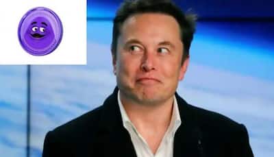 Elon Musk, McDonald's fun-intended Twitter tittle-tattle pushes GrimaceCoin to jump 6000% 