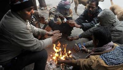 Cold wave, harsh weather conditions to continue over Northwest, central India: IMD