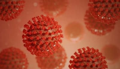 Is NeoCov the deadliest strain of coronavirus? All about the variant, and why it's in news