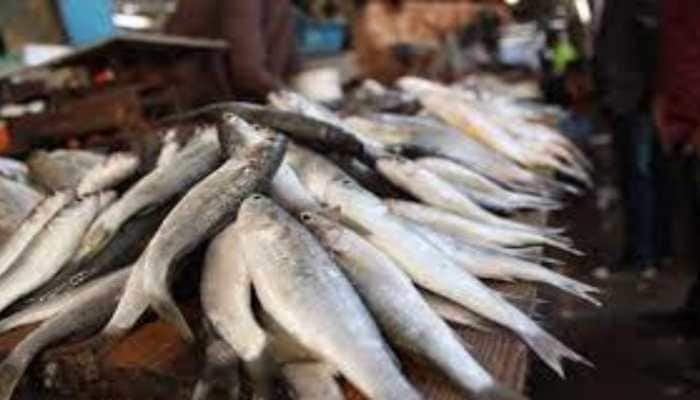 Exports of marine products jump 35% to USD 6.1 billion during Apr-Dec 2021