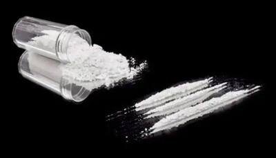 J&K police arrest 2 smugglers, recover 500 gm heroin