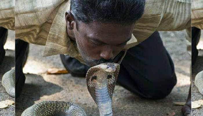 Vava Suresh, Kerala&#039;s renowned snake handler, battling for life after being bitten by cobra