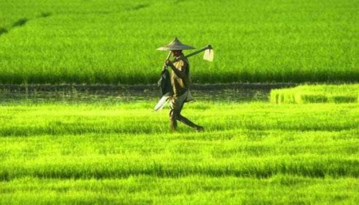 Budget 2022: Kisan drones, services in PPP mode, chemical-free natural farming to open new doors for agriculture