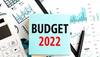 Budget short on structural reform announcements: Fitch Ratings 
