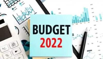 Budget short on structural reform announcements: Fitch Ratings 