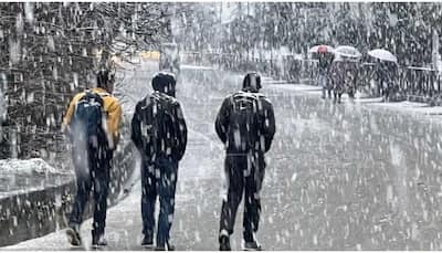 Kashmir receives fresh snowfall, rainfall expected on Feb 6-7