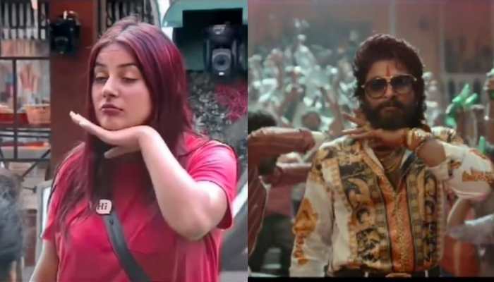 What&#039;s common between Shehnaaz Gill and Allu Arjun from Pushpa? Watch to find out!