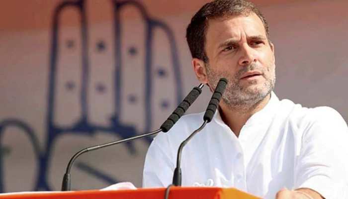 &#039;Don&#039;t waste your votes, fight in Goa between Congress, BJP&#039;: Rahul Gandhi