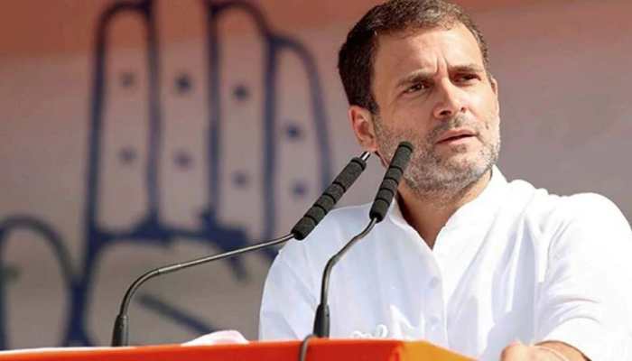 'Don't waste your votes, fight in Goa between Congress, BJP': Rahul Gandhi